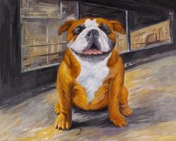Bouledogue souriant