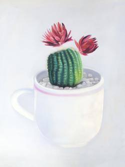 Mini cactus in a cup