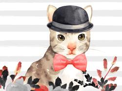 Cat detective