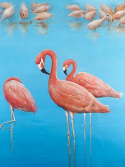 Group of flamingos
