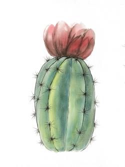 Ensemble de mini cactus