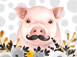 Little disguised pig