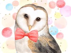 Chic owl