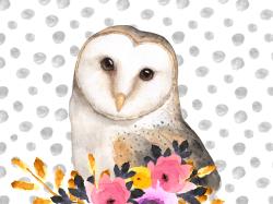 Jolie hibou