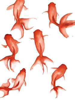 Petits poissons rouge