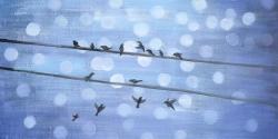 Oiseaux sur ciel bleu scintillant