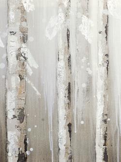 Bouleaux blanc sur fond gris