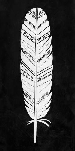 Native american feather