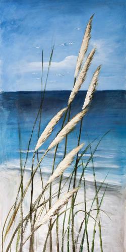 Wild herbs in the wind on at the beach