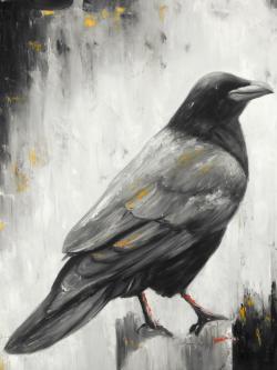 Crow bird