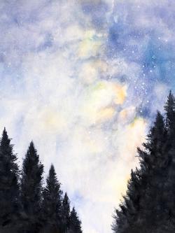 Starry sky in forest