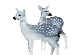 Blue fawns