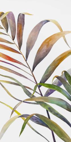 Watercolor tropical palm leaves