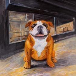 Smiling bulldog