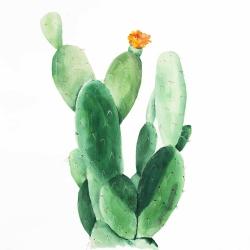 Watercolor paddle cactus with flower
