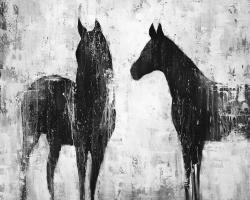 Chevaux blancs et noirs