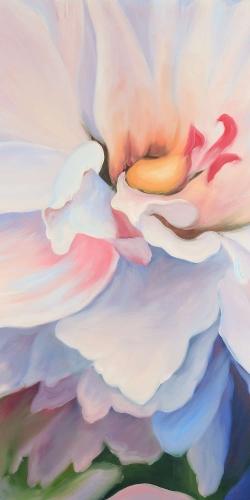 Pastel colored flower
