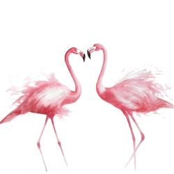 Two pink flamingo watercolor