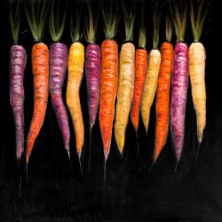 Carrots varieties