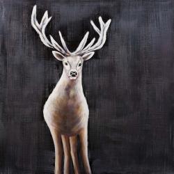 Lonely deer