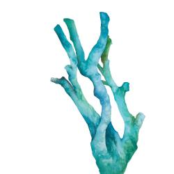 Small watercolor sea coral