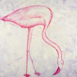 Pink flamingo sketch