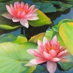 Nénuphars et fleurs de lotus