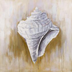 Conical shell