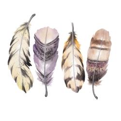 Ensemble de plumes mauve