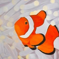 Poissons clown