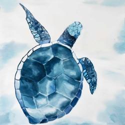 Blue turtle
