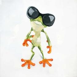 Funny frog with sunglasses