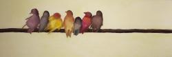 Bird family