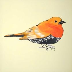 Little orange bird illustration