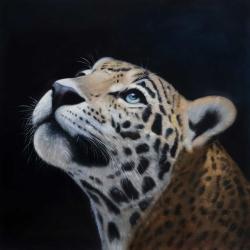 Realistic leopard face