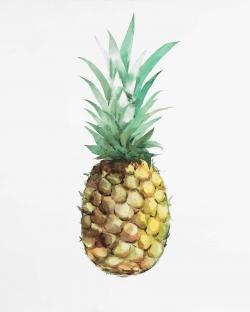 Watercolor pineapple