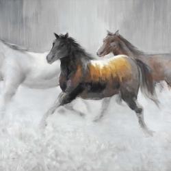 Herd of wild horses