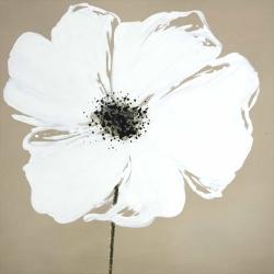 Abstract color splash petals flower