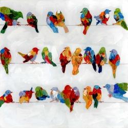 A lot of colorful birds on a wire