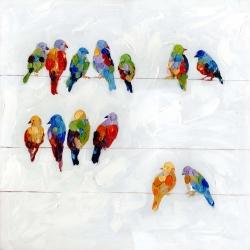 Oiseaux colorés sur des fils