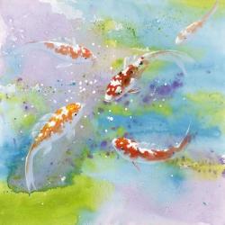Four koi fish swimming