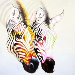 Couple of colorful zebras