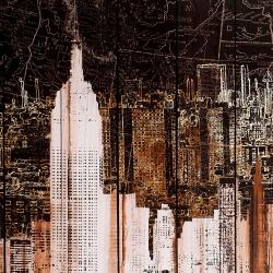 The empire city of newyork