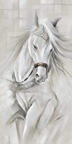 White horse with his mane in the wind