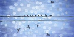Birds on a wire with a clear blue sky