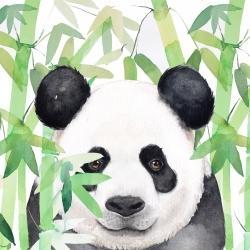 Hidden panda in bamboo
