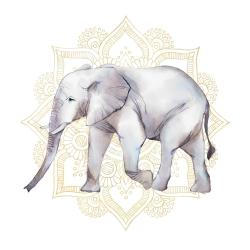 Elephant on mandalas