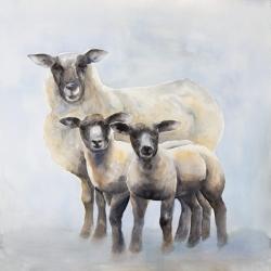 Sheep family