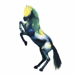 Greeting horse