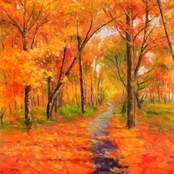 Autumn trail in the forest